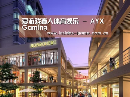 案例展示一(图1)