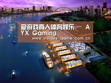 案例展示八