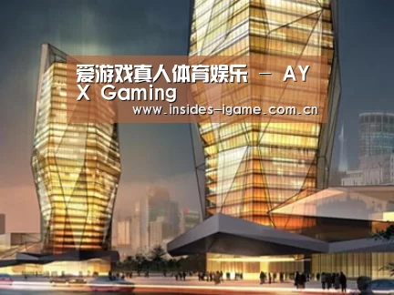 案例展示三