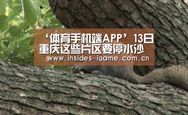 ‘体育手机端APP’13日重庆这些片区要停水沙坪坝多个地区停水8小时(图2) 体育手机端APP
