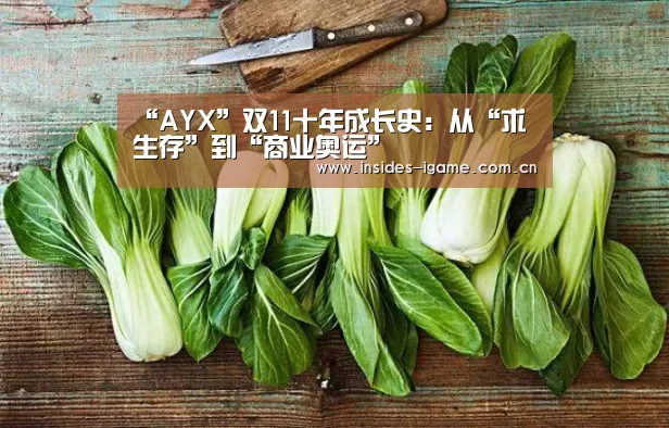 “AYX”双11十年成长史:从“求生存”到“商业奥运”(图1) 体育手机端APP