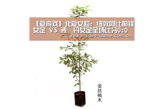 【爱游戏】北爱女超: 纽敦阿比前锋女足 VS 波達丹女足全场比分0:0互交白券(图1)
