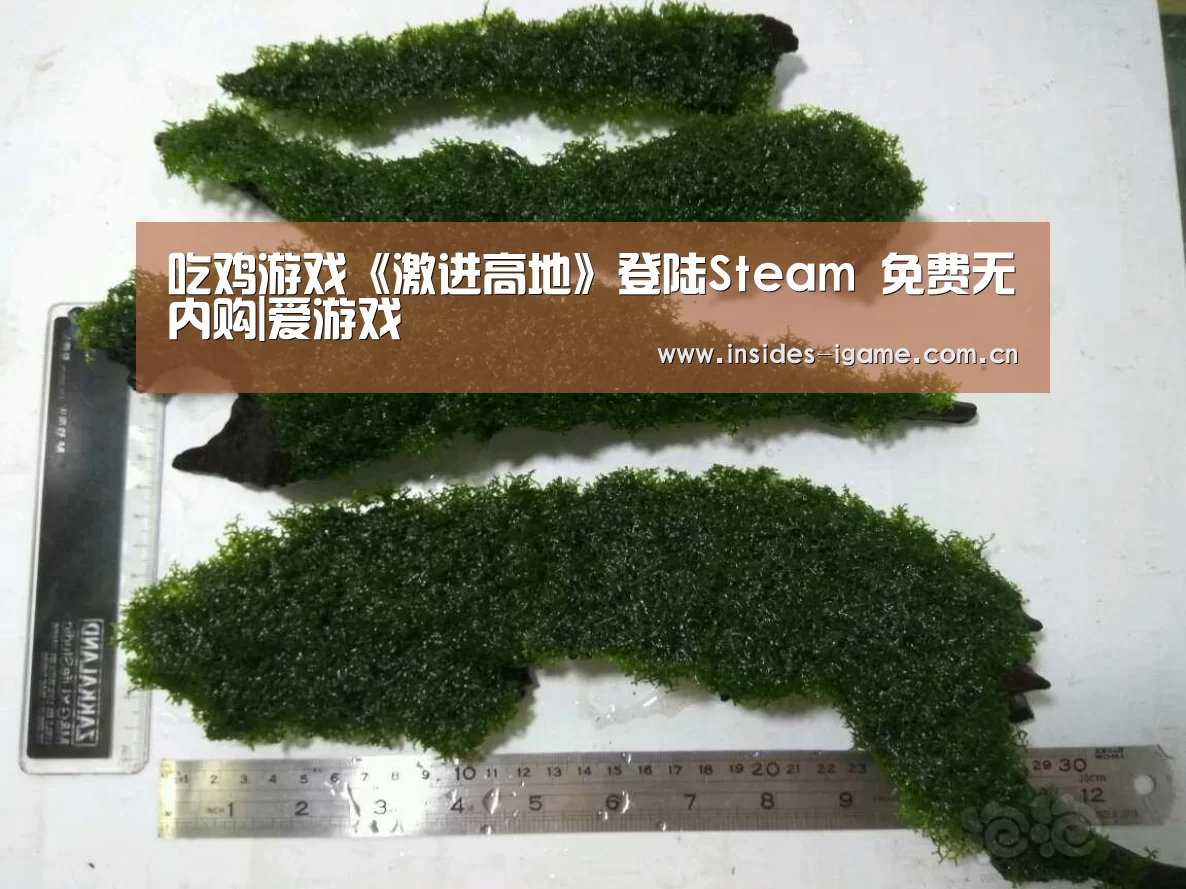 吃鸡游戏《激进高地》登陆Steam 免费无内购|爱游戏(图1) 爱游戏