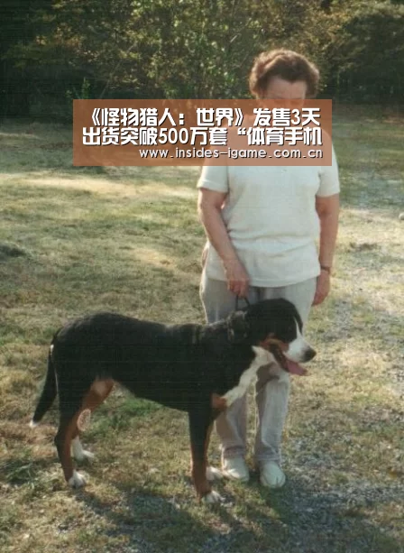 《怪物猎人:世界》发售3天 出货突破500万套“体育手机端APP”(图1) 体育手机端APP