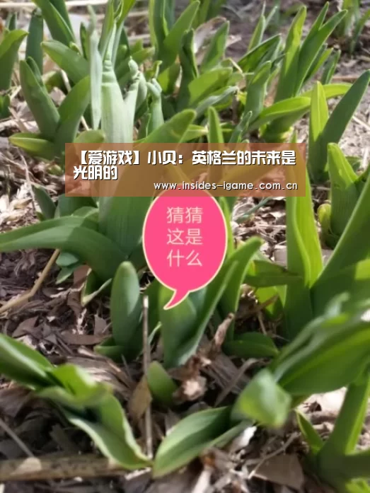 【爱游戏】小贝:英格兰的未来是光明的(图1) 【爱游戏】小贝:英格兰的未来是光明的(图1)