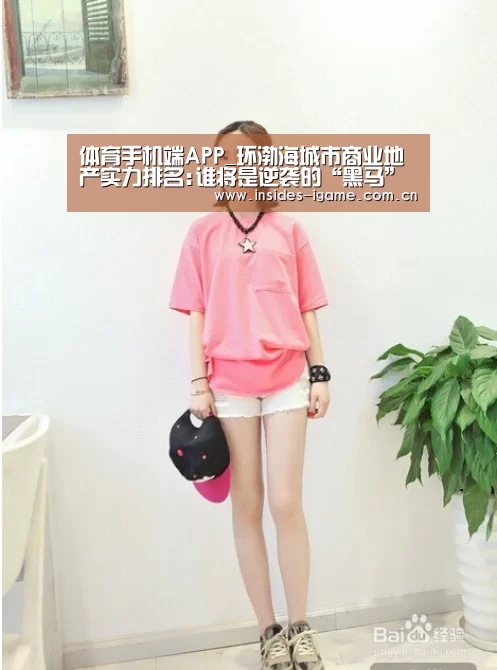 体育手机端APP_环渤海城市商业地产实力排名:谁将是逆袭的“黑马”?(图1) 体育手机端APP_环渤海城市商业地产实力排名:谁将是逆袭的“黑马”?(图1)